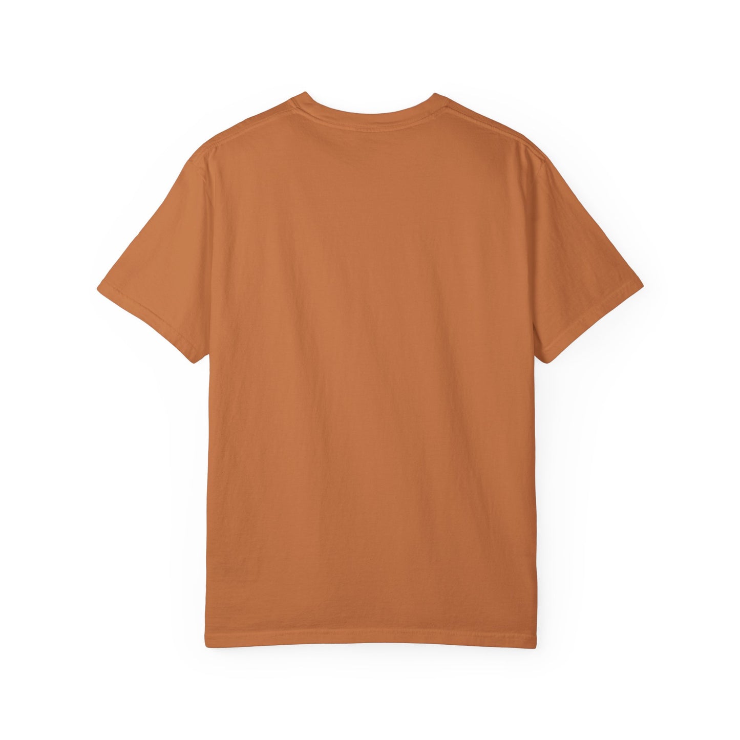 Swaddle Sip Repeat T-Shirt