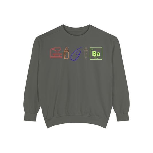 Icon Rainbow NICU Speech Pathologist Crewneck Sweater – Paulphagia Edition