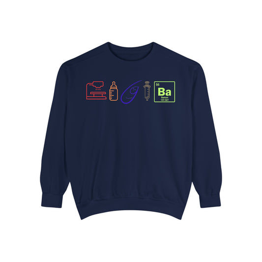 Icon Rainbow NICU Speech Pathologist Crewneck Sweater – Paulphagia Edition